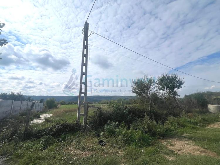 Teren Construcții intravilan de 3250 mp, în Betfia