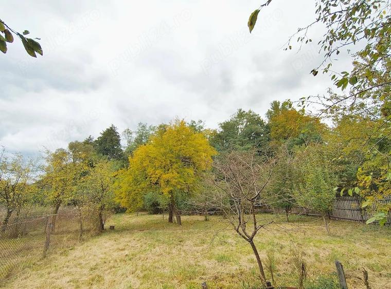 Casă cu Teren 7300 Mp în Adânca