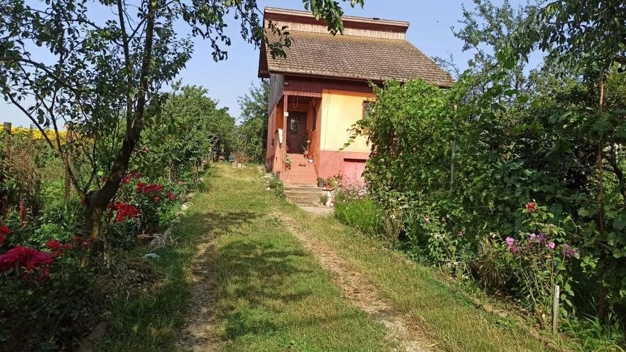 Casă cu 3 camere în Central
