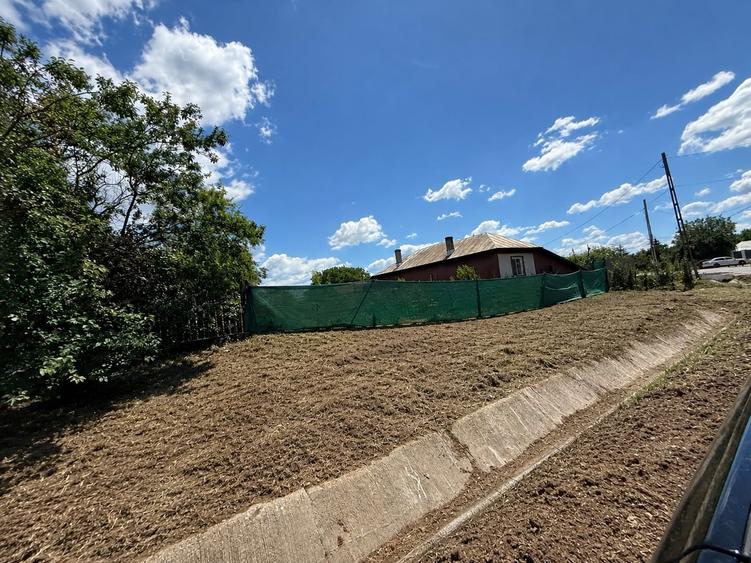 Teren Construcții intravilan de 1616 mp, în Ciocănești