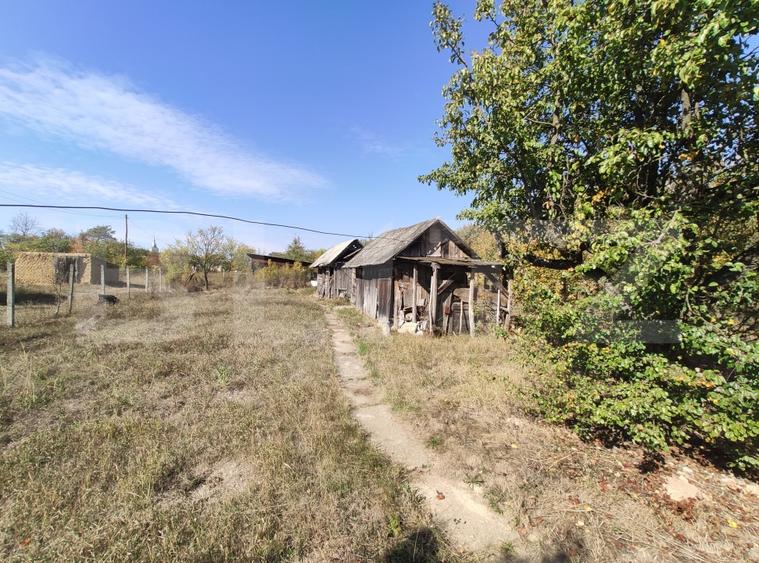 Casă individuală cu 3 camere cu Canalizare în Viile Satu Mare