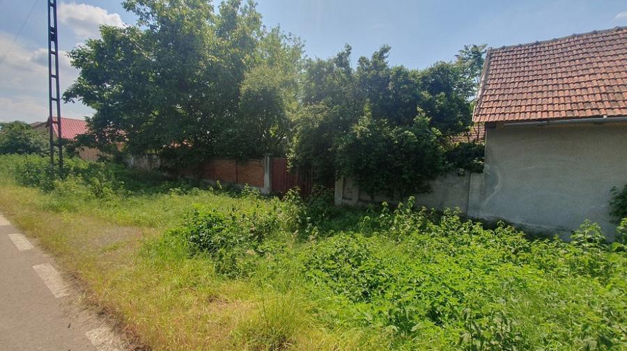 Casă cu 3 camere cu Teren 6674 Mp în Macea