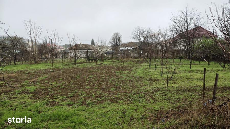 Casă cu Teren 1856 Mp în Central