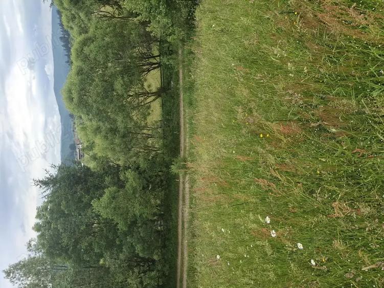 Teren de 1300 mp, în Central