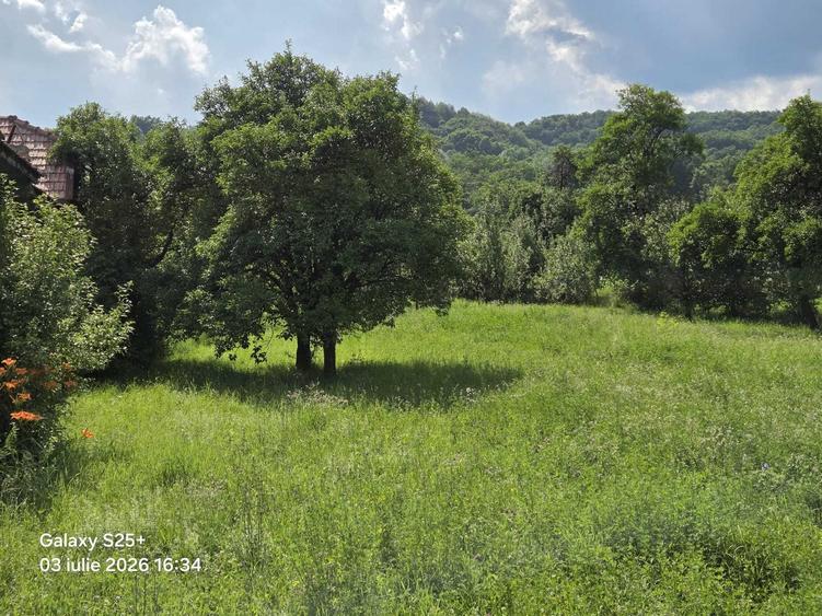 Teren de 2000 mp, în Măneciu