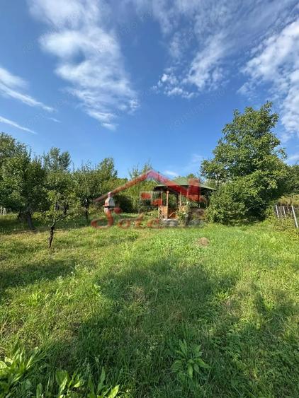 Casă cu Teren 2404 Mp în Cornu