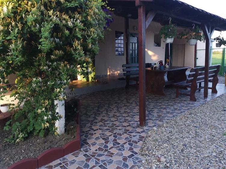Casă cu 3 camere cu Teren 3800 Mp în Periam