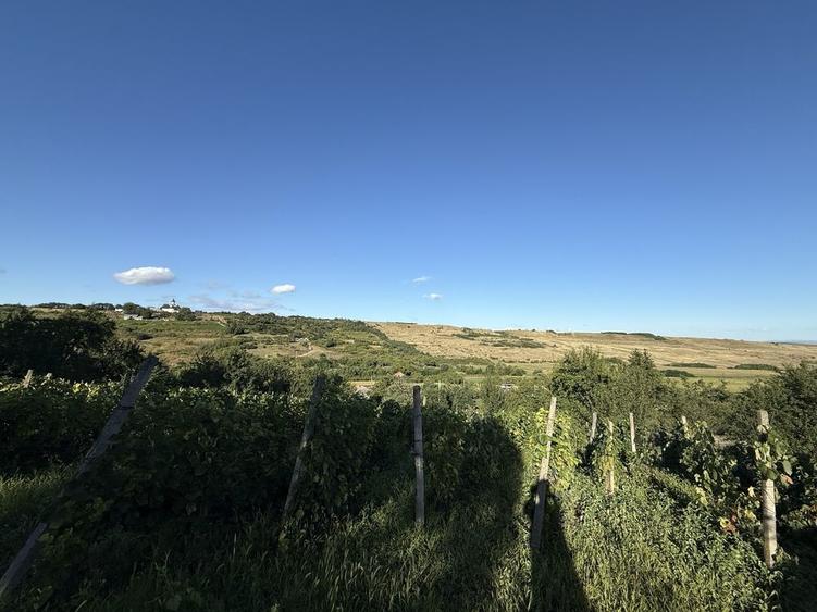 Casă cu 3 camere în Cotnari