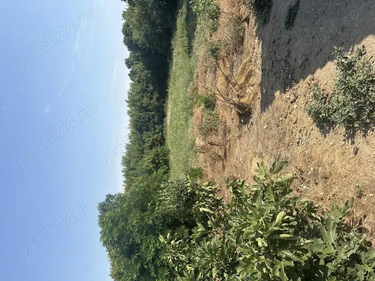 Casă cu 3 camere cu Teren 4000 Mp în Central