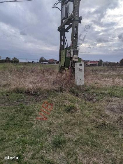 Ferma Zootehnica Satchinez,9,5,vanzare sau schimb - 3