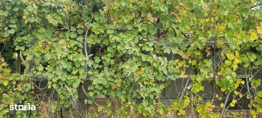 Casă cu 3 camere cu Teren 6058 Mp în Sâncel