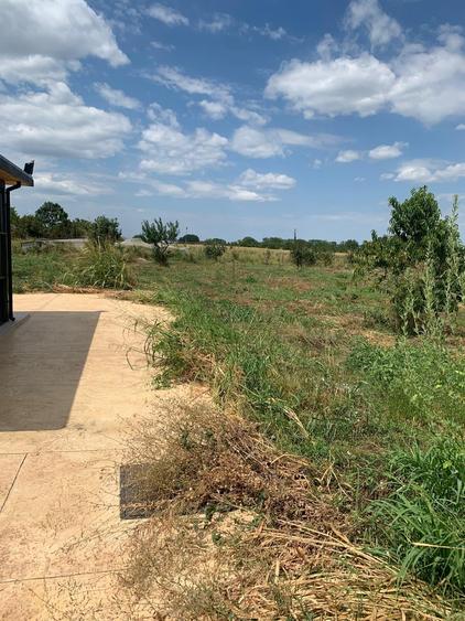Teren Construcții intravilan de 5900 mp, în Dascălu
