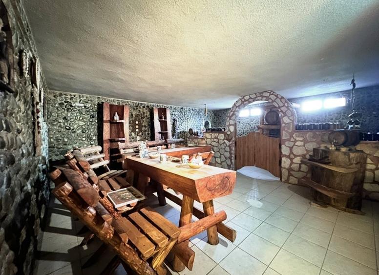 Casă individuală cu 10 camere cu Piscina în Ovidiu