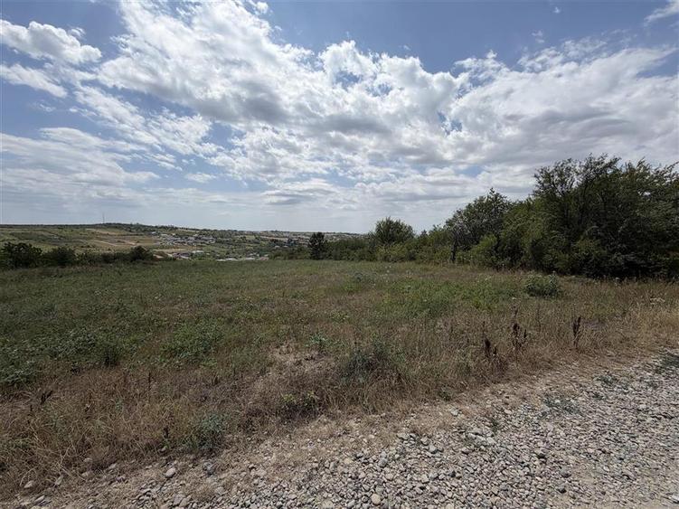 Teren intravilan de 5997 mp, în Săldăbagiu de Munte