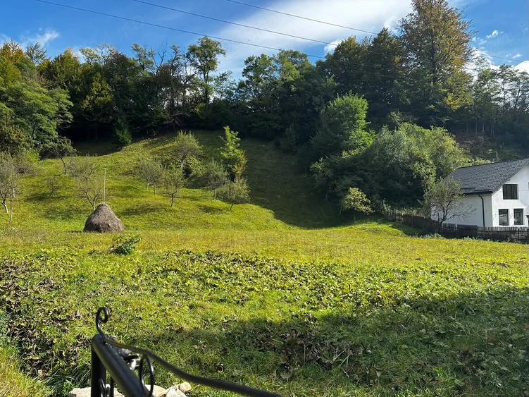 Teren de 2500 mp, în Central