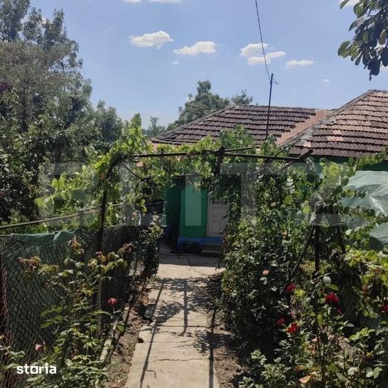 Casă cu 3 camere cu Teren 1700 Mp în Pleșoi