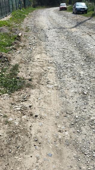 Teren Construcții intravilan de 4401 mp, în Trăisteni