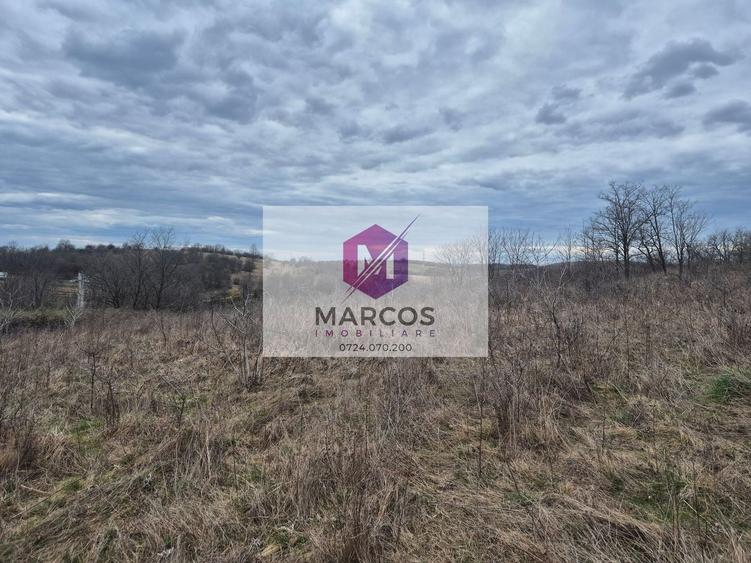 Teren agricol extravilan de 11400 mp, în Iabalcea