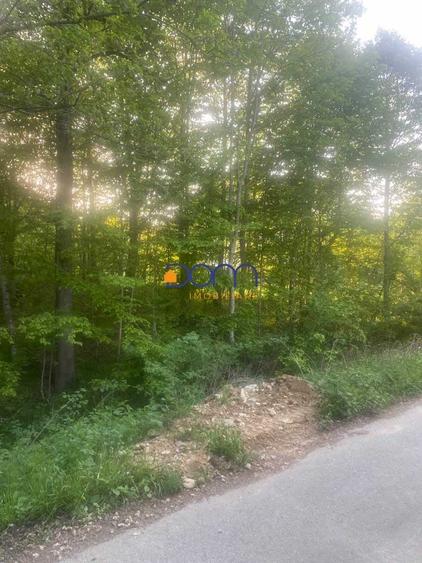 Teren Construcții intravilan de 4235 mp, în Poiana Mărului