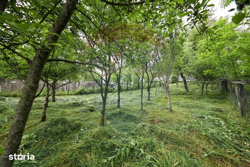 Casă cu 5 camere cu Teren 396 Mp în Nord