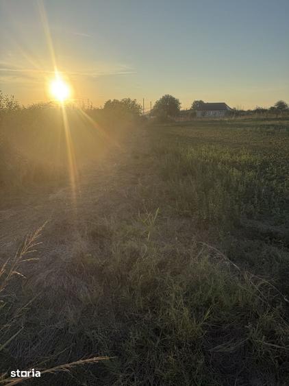 Teren de 4000 mp, în Frecăței