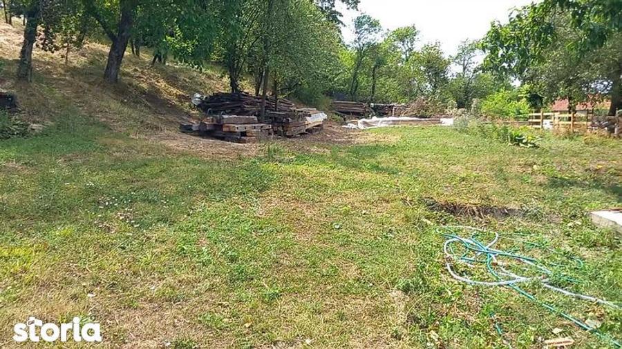 Teren de 5754 mp, în Ohaba Lungă