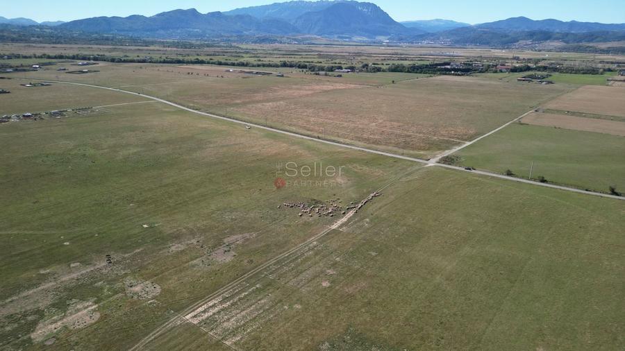Teren Construcții extravilan de 14500 mp, în Glăjărie