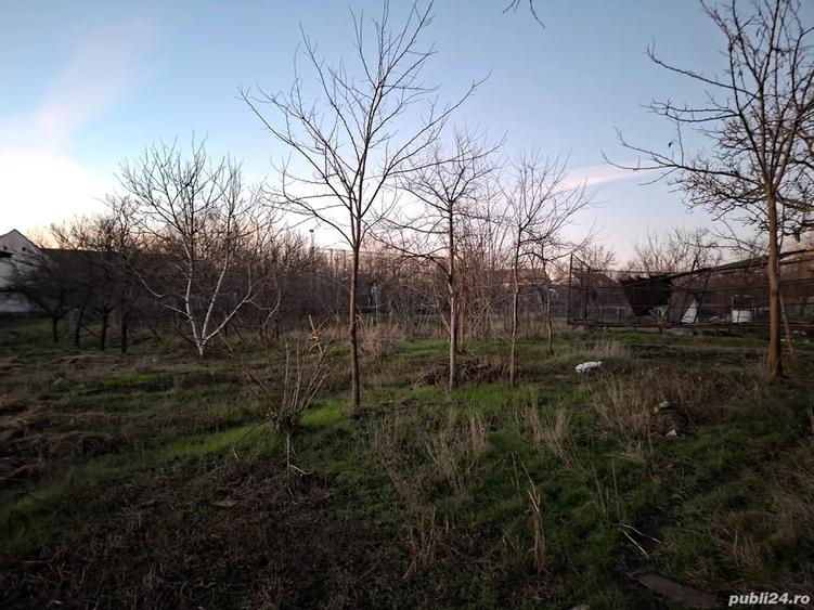 Casă cu Teren 2156 Mp în Dudeștii Vechi
