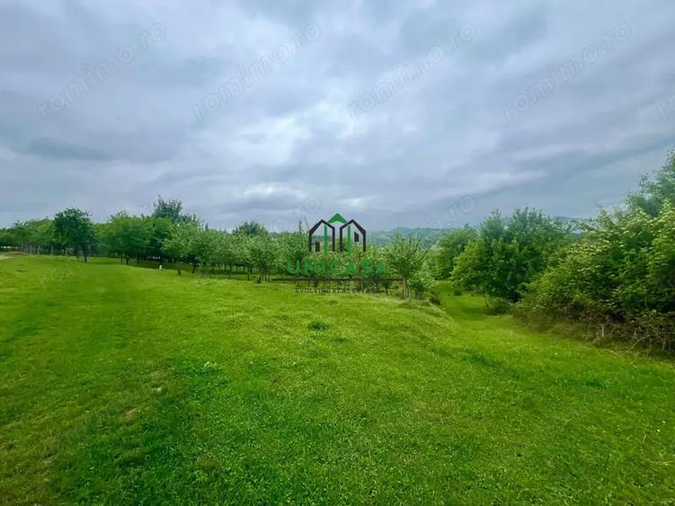 Teren de 3507 mp, în Seaca (Călimănești)