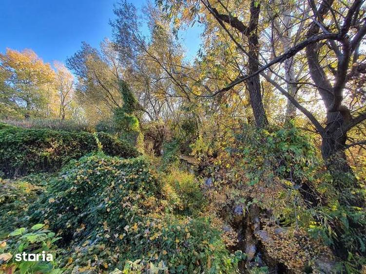Teren de vanzare Dumbrava Minunata in Domnesti, Ilfov - 12