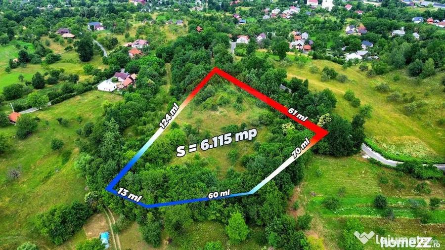 Teren intravilan 6115mp | Danesti, Maramures | Oportunita... - 1