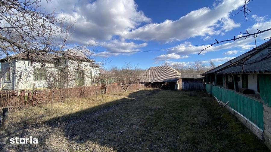 Casă cu 3 camere cu Teren 4145 Mp în Vedea