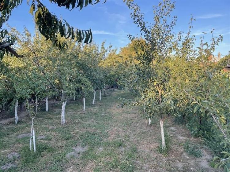Casă individuală cu 4 camere cu Teren 1183 Mp în Est