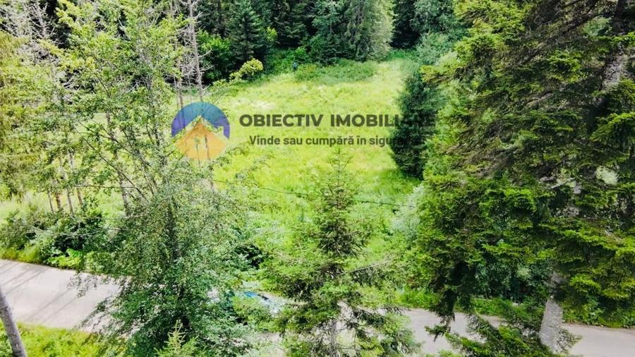 Teren intravilan de 14114 mp, în Schitu Tarcău