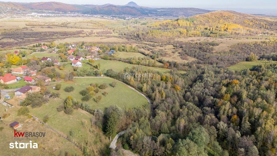 Teren intravilan in Zarne?ti, zona Tohanita, cu padurice ?i parau curg - 14