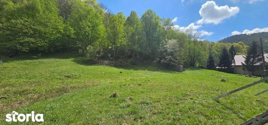 Teren de 2450 mp, în Bulz