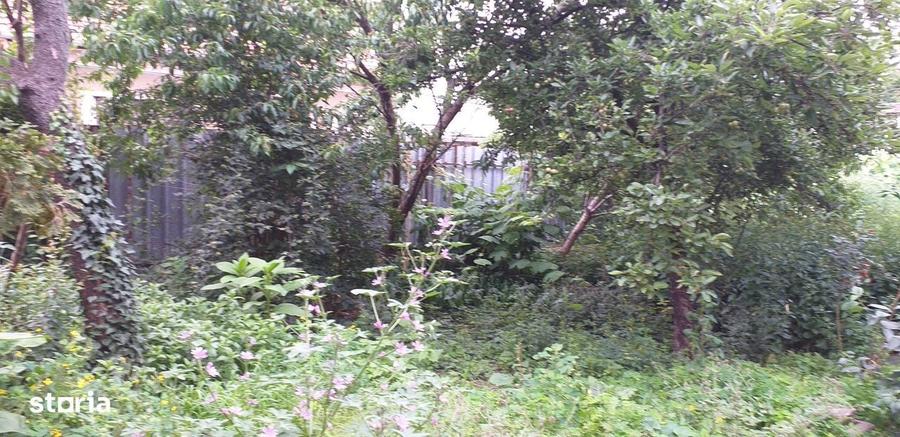 Casa singur in curte, 3 camere, pivnita si garaj - 8