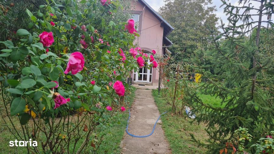 Casă cu 5 camere cu Teren 2600 Mp în Rahova