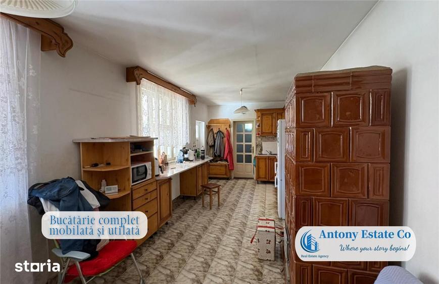 Antony Estate | Casa cu Livada proprietate deosebita, 300 pomi fruct - 15