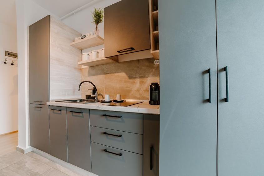 Apartament cu 2 camere semidecomandat, mobilat în Griviței