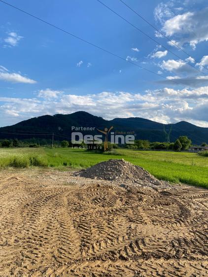 Teren Construcții intravilan de 735 mp, în Alexandru cel Bun