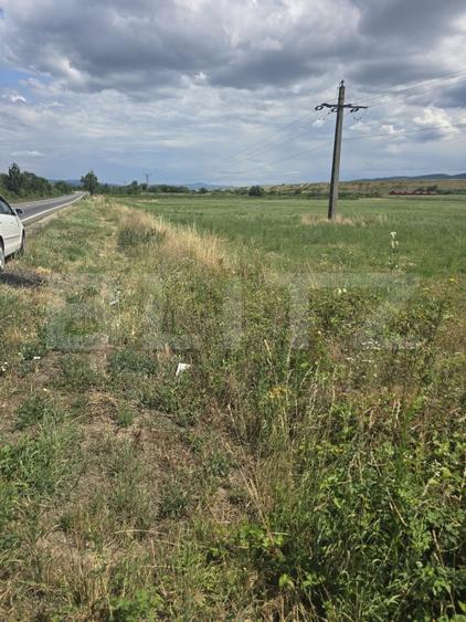 Teren agricol extravilan de 49975 mp, în Urvind