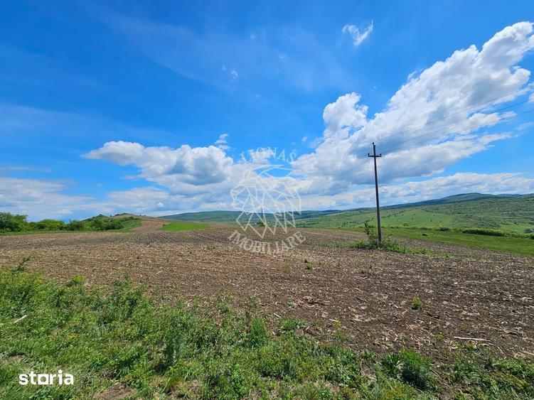 Teren de 5800 mp, în Șieu