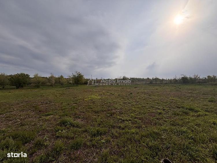 Teren pe colt in Paleu 800 mp ideali pentru casa ta intr-o zona lini - 3