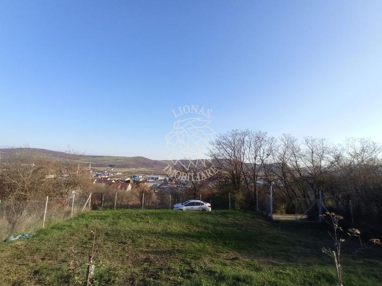 Teren Construcții intravilan de 2700 mp, în Viișoara