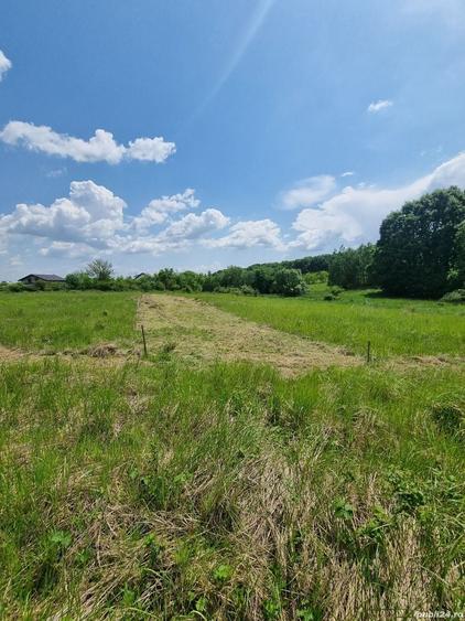 Teren de 631 mp, în Hințești
