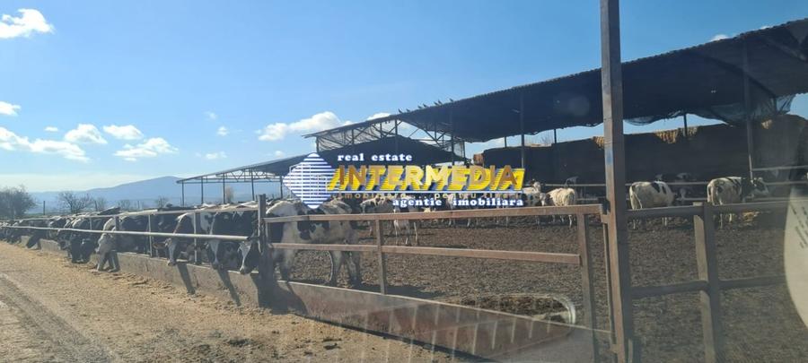 Casă individuală cu 20 camere cu Teren 35000 Mp în Pianu