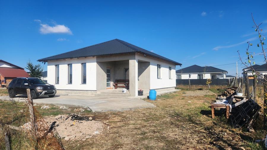 Casă cu 3 camere în Radu Negru