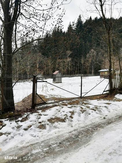 Teren de 3386 mp, în Borca