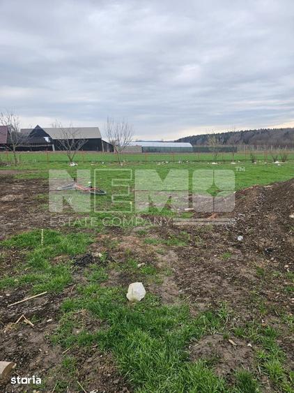 Casă cu 5 camere cu Teren 6000 Mp în Burla